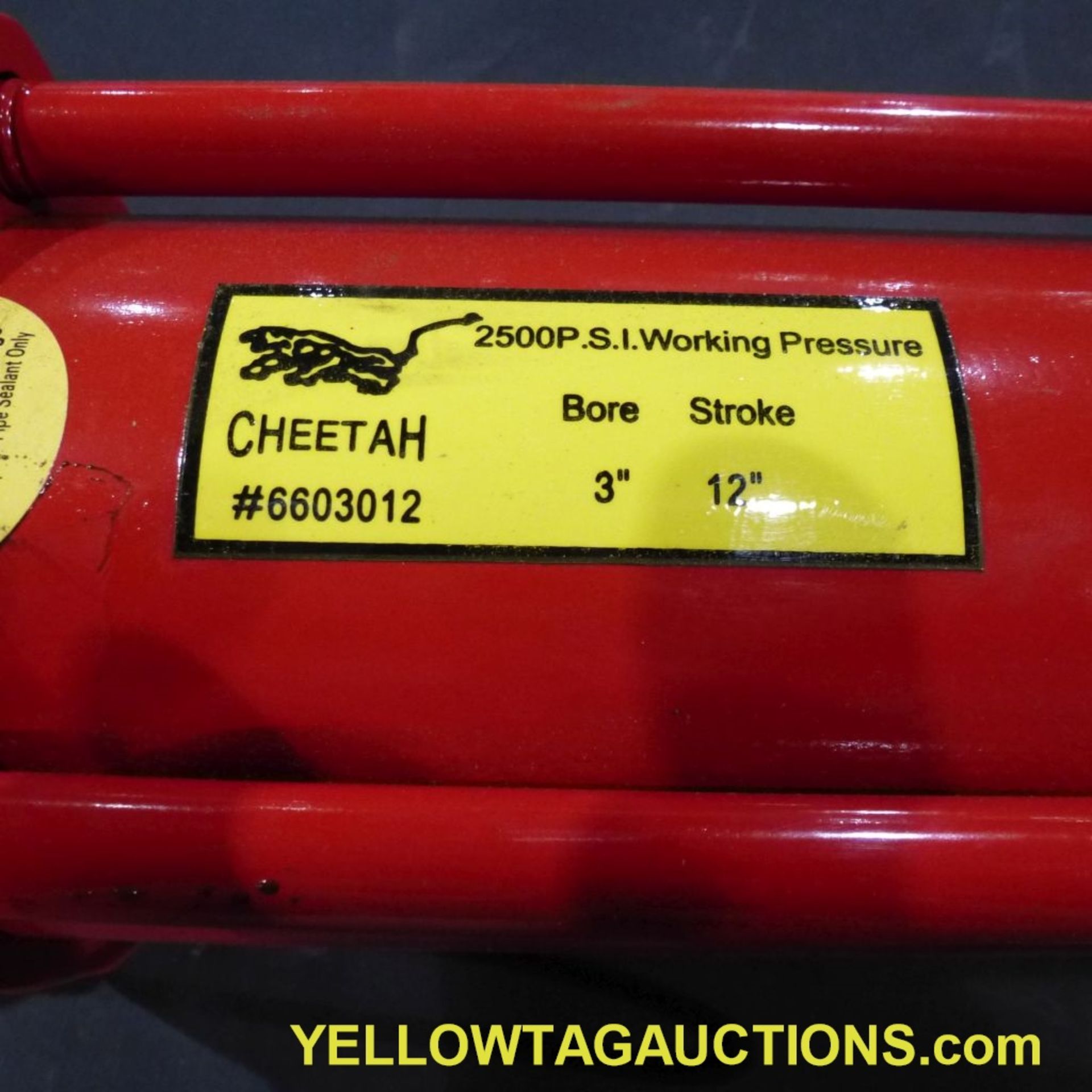 Lot of (21) Cheetah Hydraulic Cylinders|2,500 PSI; 3" x 12"|Tag: 248 - Bild 7 aus 8