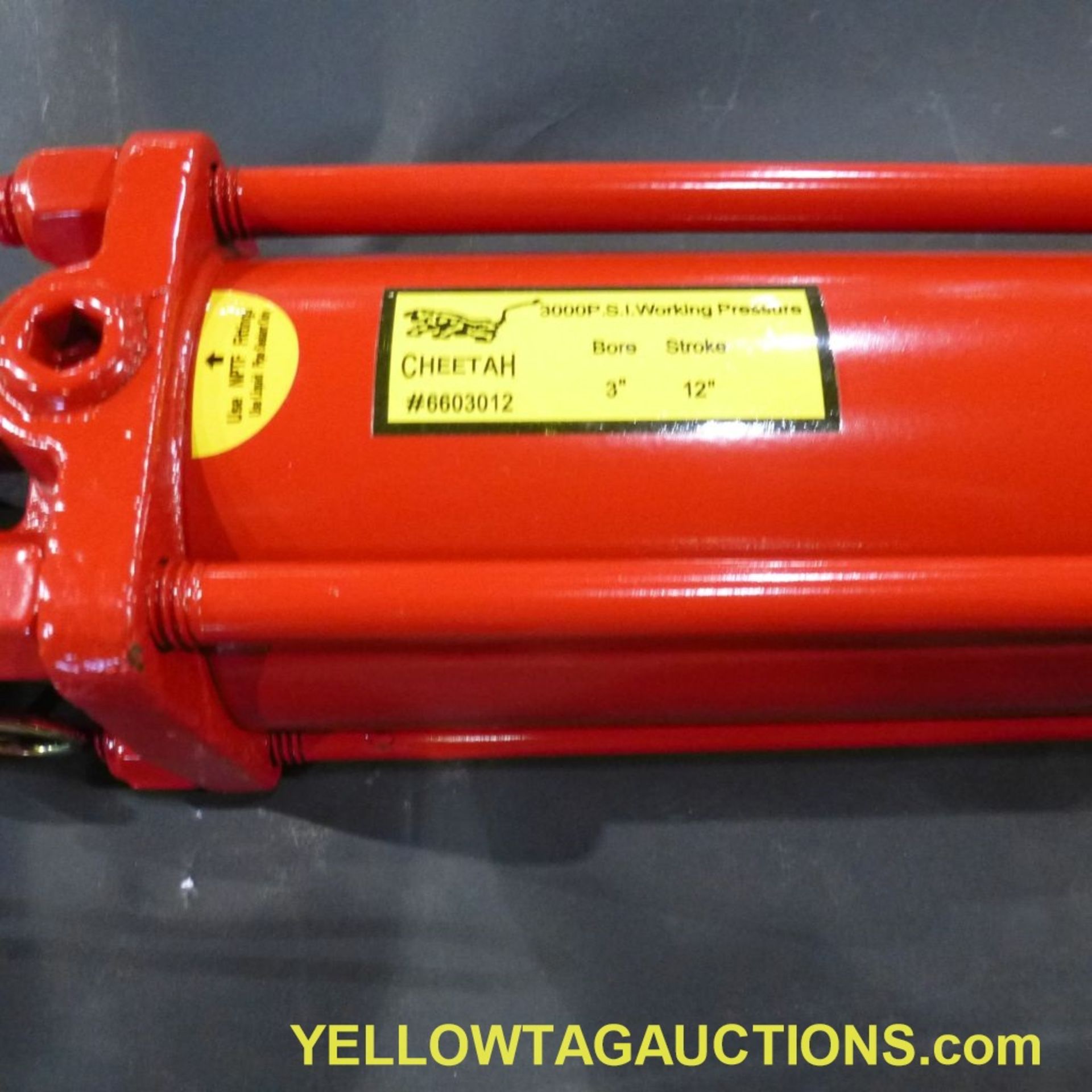 Lot of (28) Cheetah Hydraulic Cylinders|3,000 PSI; 3" x 12"|Tag: 247 - Image 8 of 14