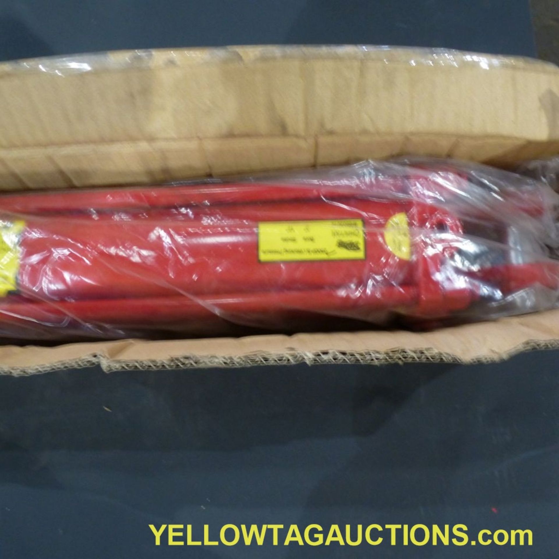 Lot of (18) Cheetah Hydraulic Cylinders|2,500 PSI; 3" x 12"|Tag: 238 - Image 17 of 22