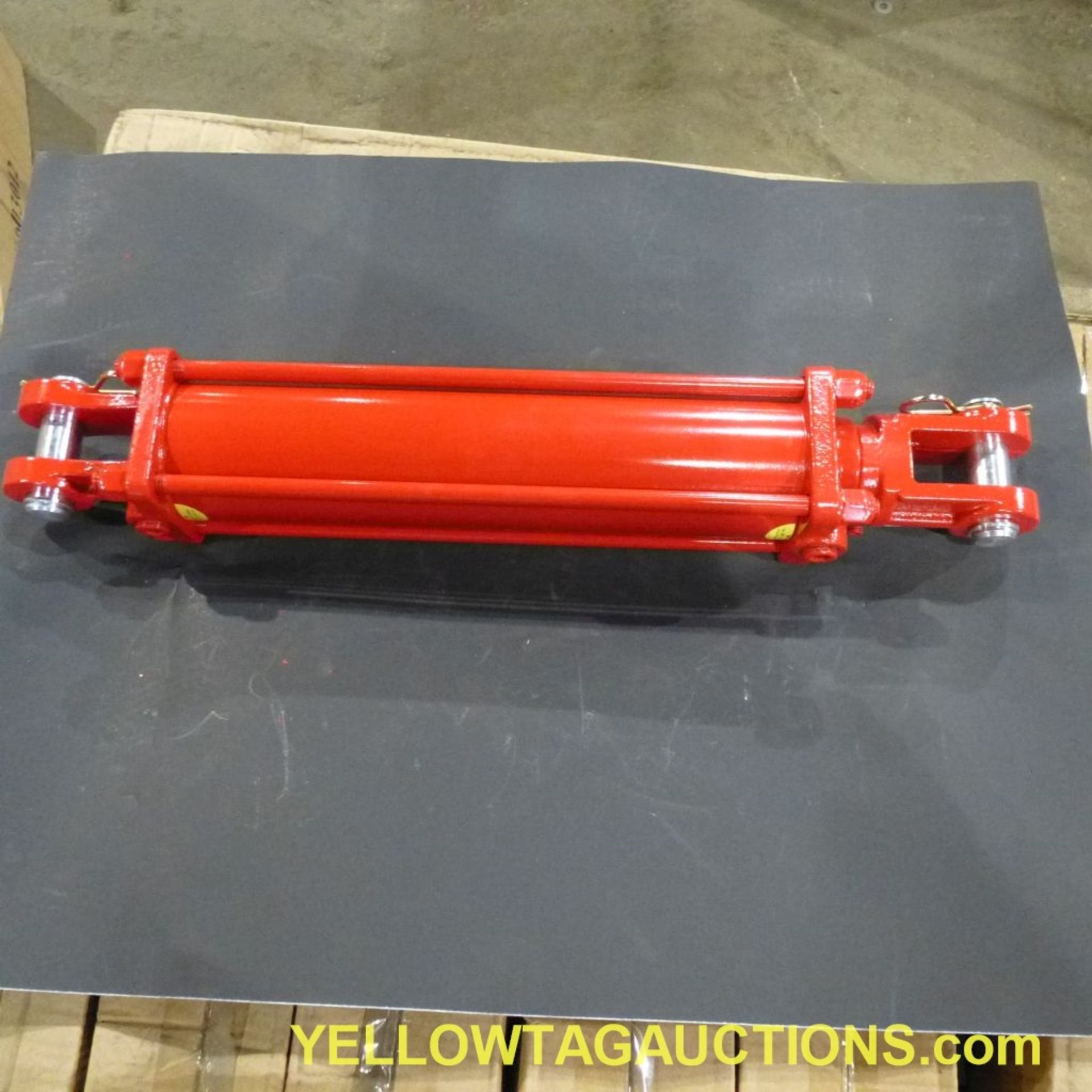 Lot of (18) Cheetah Hydraulic Cylinders|2,500 PSI; 3" x 12"|Tag: 238 - Image 15 of 22