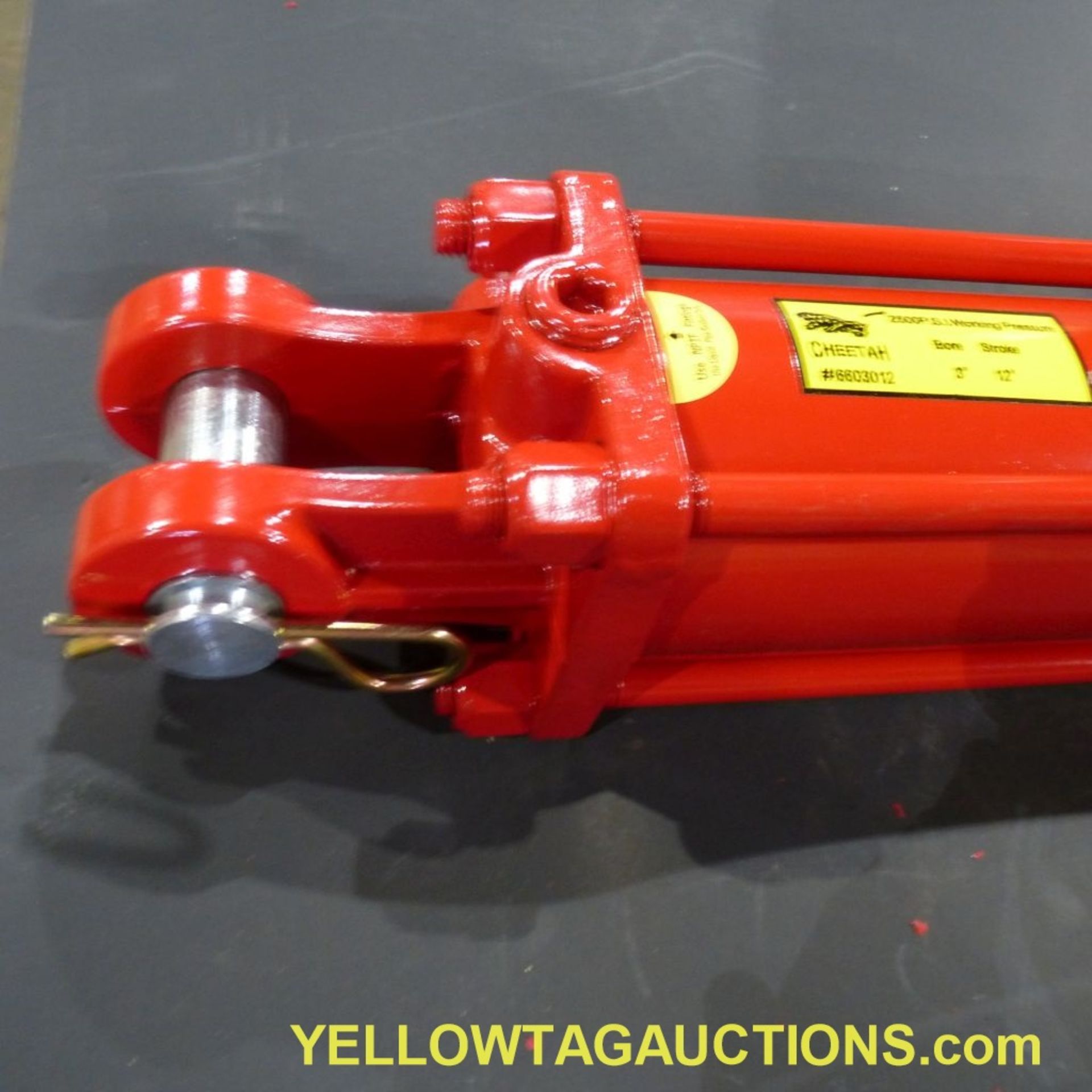 Lot of (18) Cheetah Hydraulic Cylinders|2,500 PSI; 3" x 12"|Tag: 238 - Image 10 of 22
