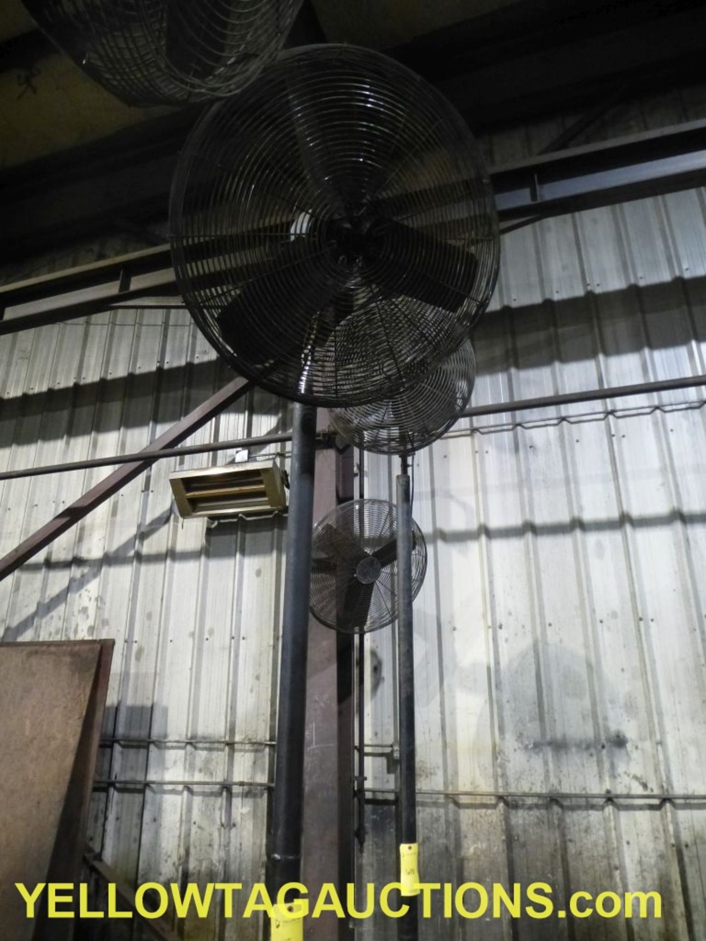 8' Pedestal Fan|110/115V|Tag: 617