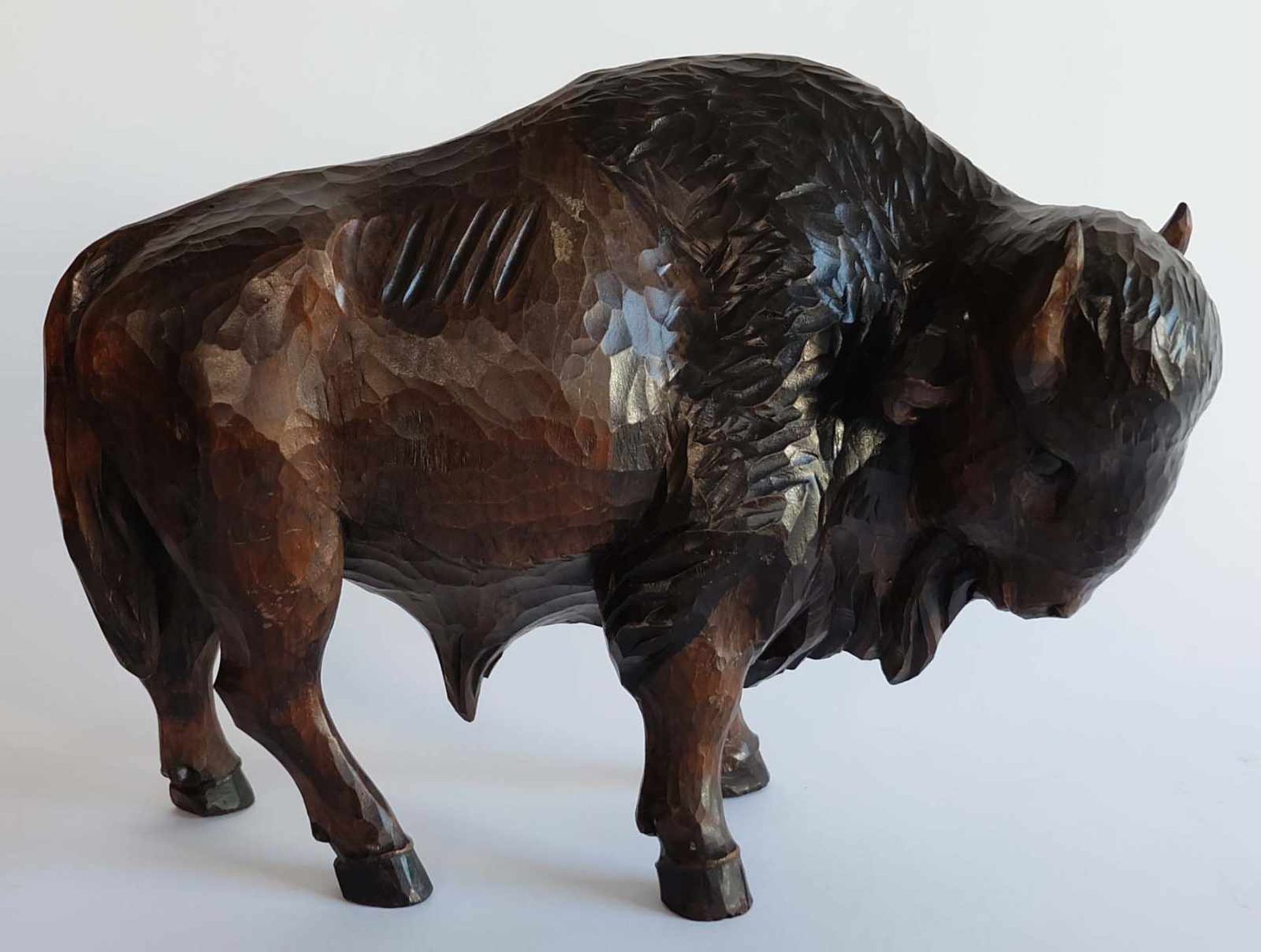 SKULPTUR, Nordamerikanischer Bison, Linde, geschnitzt und lasiert, 27 x 36 cm