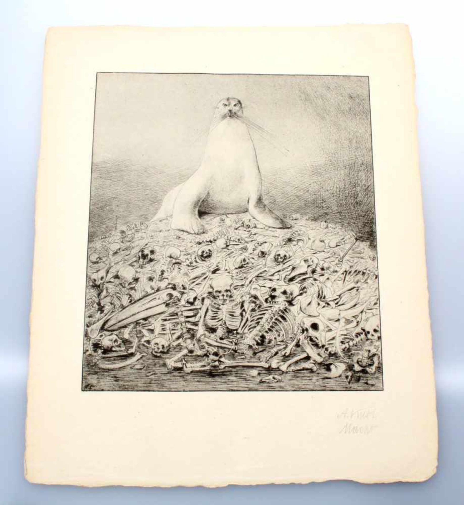 15 Faksimiledrucke - Alfred Kubin (1877-1959) Hans von Weber-Mappe mit 15 Faksimiledrucken nach - Bild 16 aus 17