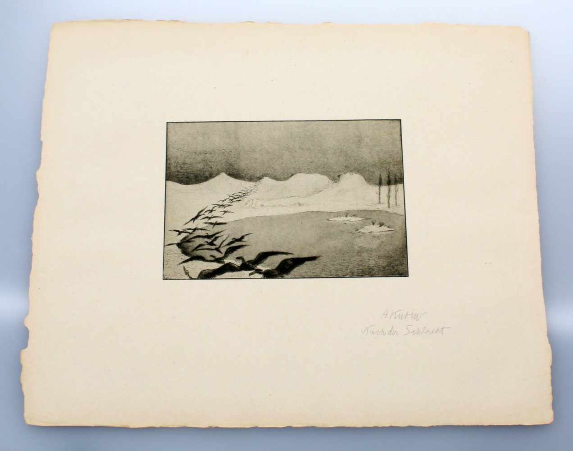 15 Faksimiledrucke - Alfred Kubin (1877-1959) Hans von Weber-Mappe mit 15 Faksimiledrucken nach - Bild 10 aus 17