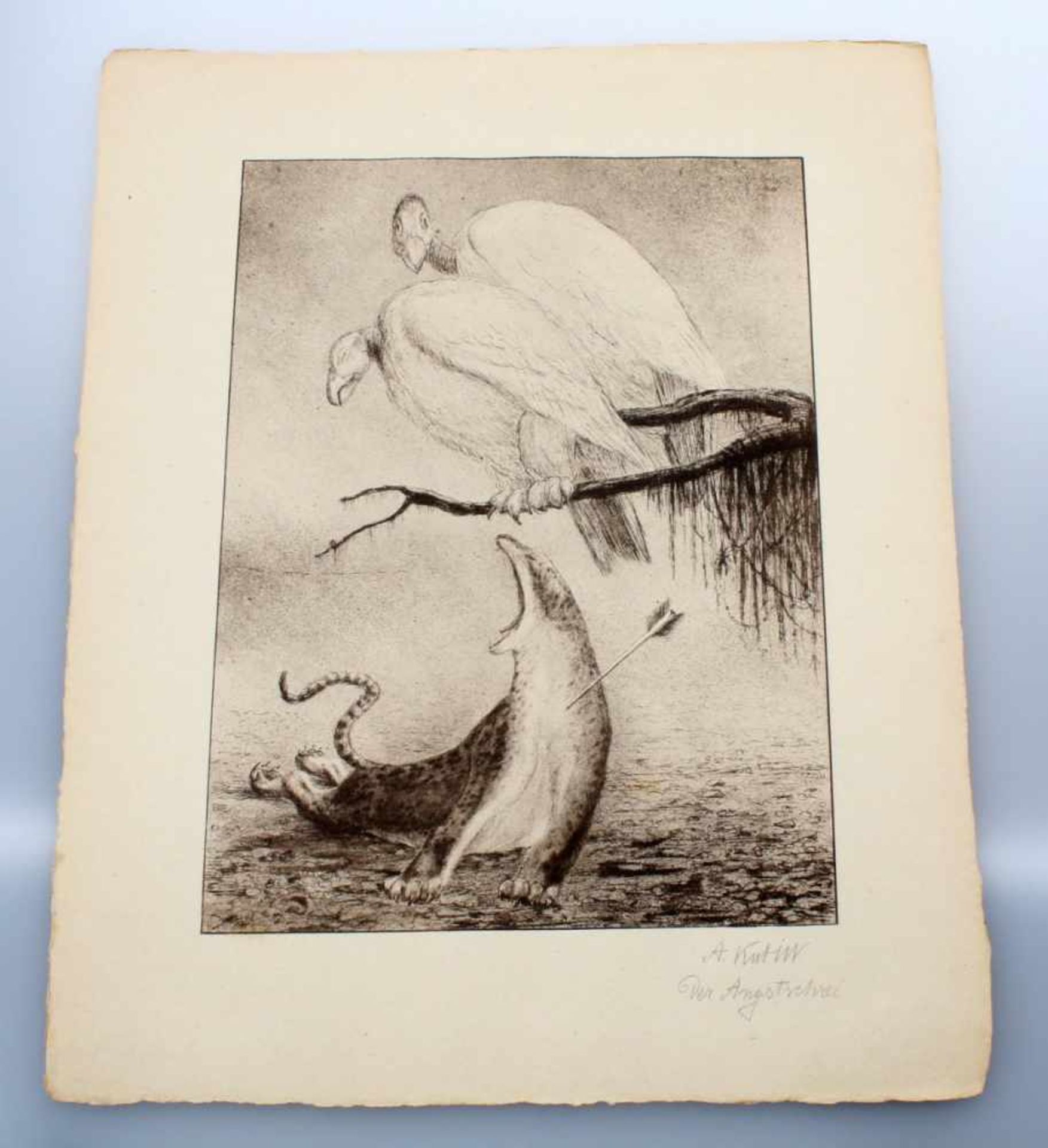 15 Faksimiledrucke - Alfred Kubin (1877-1959) Hans von Weber-Mappe mit 15 Faksimiledrucken nach - Bild 12 aus 17