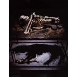 Mac Adams (Brynmawr 1943) Bones (1999) Edition of8 Cibachrome print on aluminum, 102.9 x 75.9 cm