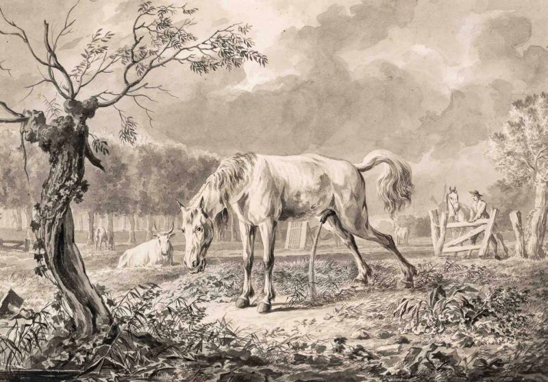 Dirk Langendijk (Rotterdam 1748 - 1805)Pissing horseMonogrammed lower centerTraces of graphite,