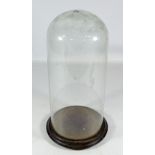 A clear glass dome on circular ebonised base,