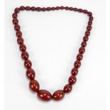 A graduated natural cherry amber bead necklace, the largest bead 3 x 2.