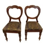 A set of four Victorian mahogany bolt back dining chairs on ring turned tapering front legs (for