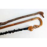 Two shepherds' staffs including one with handle modelled as duck's head and a lacquered gnarled