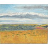 MARGARET HARMSWORTH (1928-2007); oil on canvas, expansive landscape, signed, 54 x 65cm, unframed.