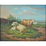 R MOYER (Contemporary); oil on board, study of sheep in a landscape, signed, 19 x 24cm,