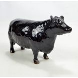 BESWICK; an Angus cow, approved by the Aberdeen Angus Cattle Society.