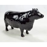 BESWICK; an Aberdeen Angus cow, approved by the Aberdeen Angus Cattle Society (af).