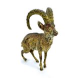 An early 20th century Austrian cold painted model of a mountain goat, height 9.5cm.
