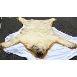 A polar bear (Ursus Maritimus) full-size rug, 293 x 195cm.