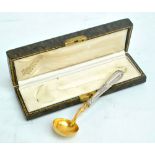 A cased late 19th century sheath handled silver and silver gilt condiment spoon with floral and