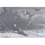 ARCHIBALD THORBURN (1860-1935); gouache, a fox startling mallards in flight, signed and dated 1886,