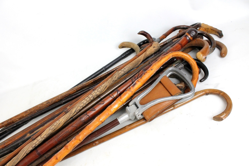 A group of wooden walking sticks and canes.