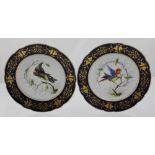 A pair of Sèvres cabinet plates decorated with ornithological studies within a blue de roi border