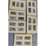 UNATTRIBUTED; watercolour and ink, twenty three ornithological pictures,