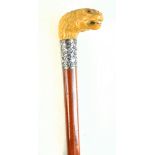 A Victorian malacca shafted walking stick,