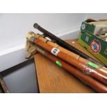 Bundle of walking sticks