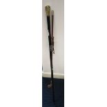 Riding crop and walking stick