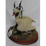 Border Fine Arts Ayres 1997 Swan