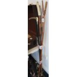 Collection of walking sticks