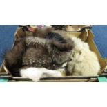 Box of furs