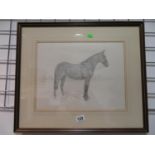 Hand sketched horse