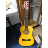 Acoustic guitar