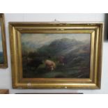 40" x 28" oil on canvas Highland Cattle - large gilt frame