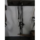 2 Martingales 1 breast plate