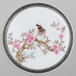 Plato circular en porcelana China. Trabajo Chino, Siglo XX. Decorado con cotorra entre ramas con