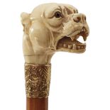 A LATE 19TH/EARLY 20TH CENTURY WALKING CANE, the ivory pommel carved as a snarling dog, possibly a