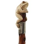 AN EARLY 20TH CENTURY WALKING CANE, the ivory pommel carved as a frog and gripping on to the haft,