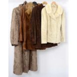 Konvolut 4 Pelze, Indisch Lamm, Fohlen, Persianer, Pelzjacke, Pelzmantel,Convolute 4 furs, Indian