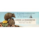 Advertising Poster London And Manchester Assurance Company Armadillo