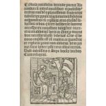 (Alexander de Villa dei.Prima pass doctrinalis Alesandri cum sententiis. Notabilibus & vocabuloru