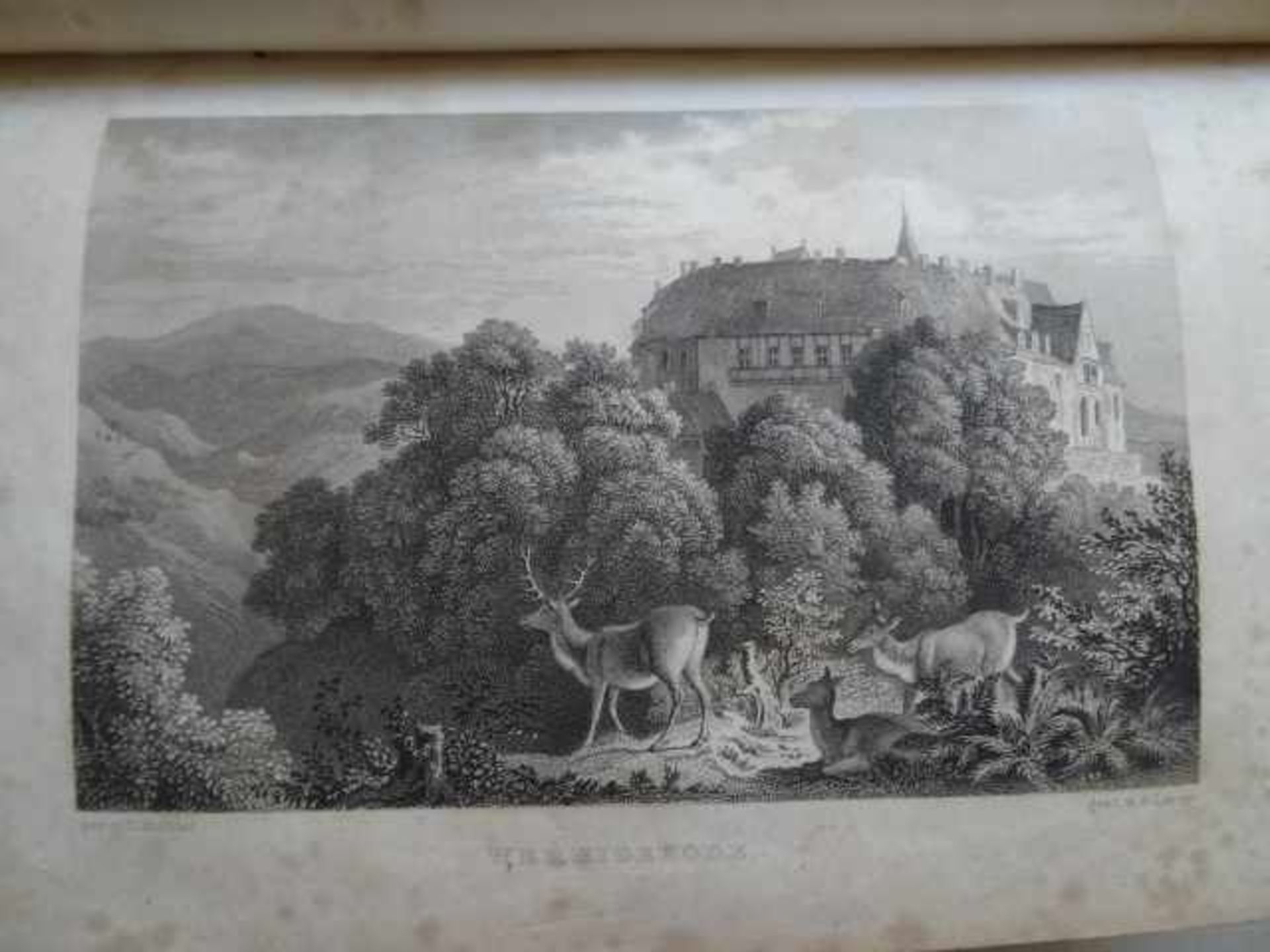 Niedersachsen.- Blumenhagen, W. Wanderung durch den Harz. Leipzig, Wigand, (1838). 256 S. Mit 30 - Bild 2 aus 4