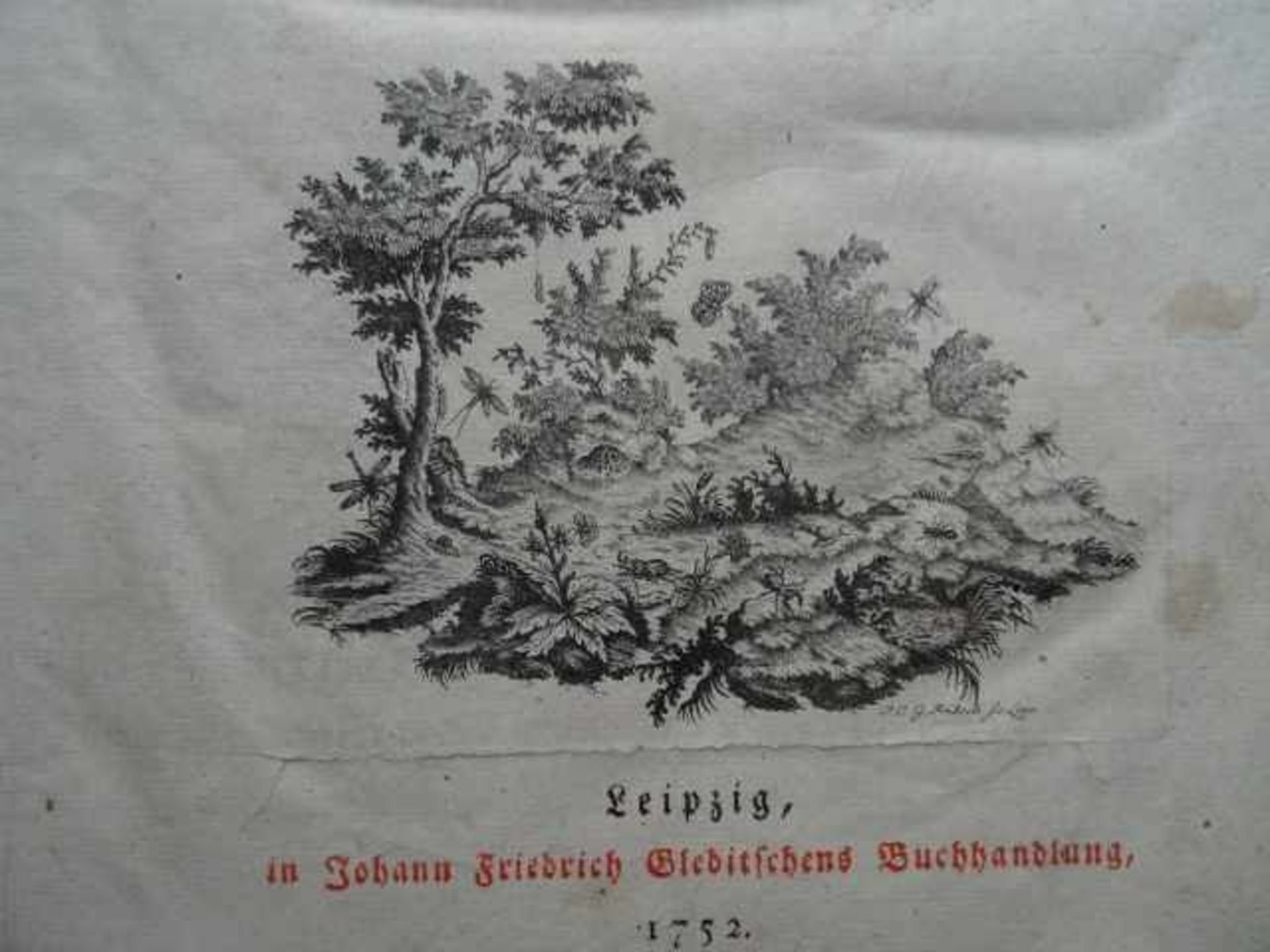 Swammerdamm, J. Bibel der Natur... Leipzig, Gleditsch, 1752. 4 Bll., XII S., 1 Bl., 410 S., 7 - Bild 2 aus 5