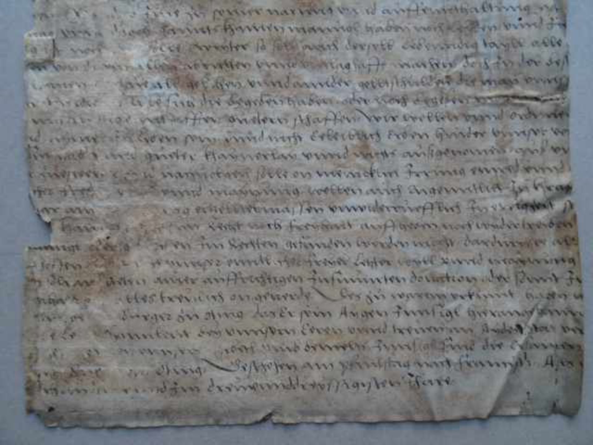 Recht.- Handschrift in deutscher Sprache auf Pergament, um 1500 (?). 40 Zeilen auf 1 Blatt. Ca. 31 x - Bild 3 aus 4
