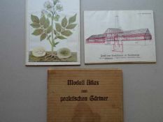 Botanik.-Modell Atlas zum praktischen Gärtner. (Leipzig, 1907). 4 farb. lithographische Tafeln mit