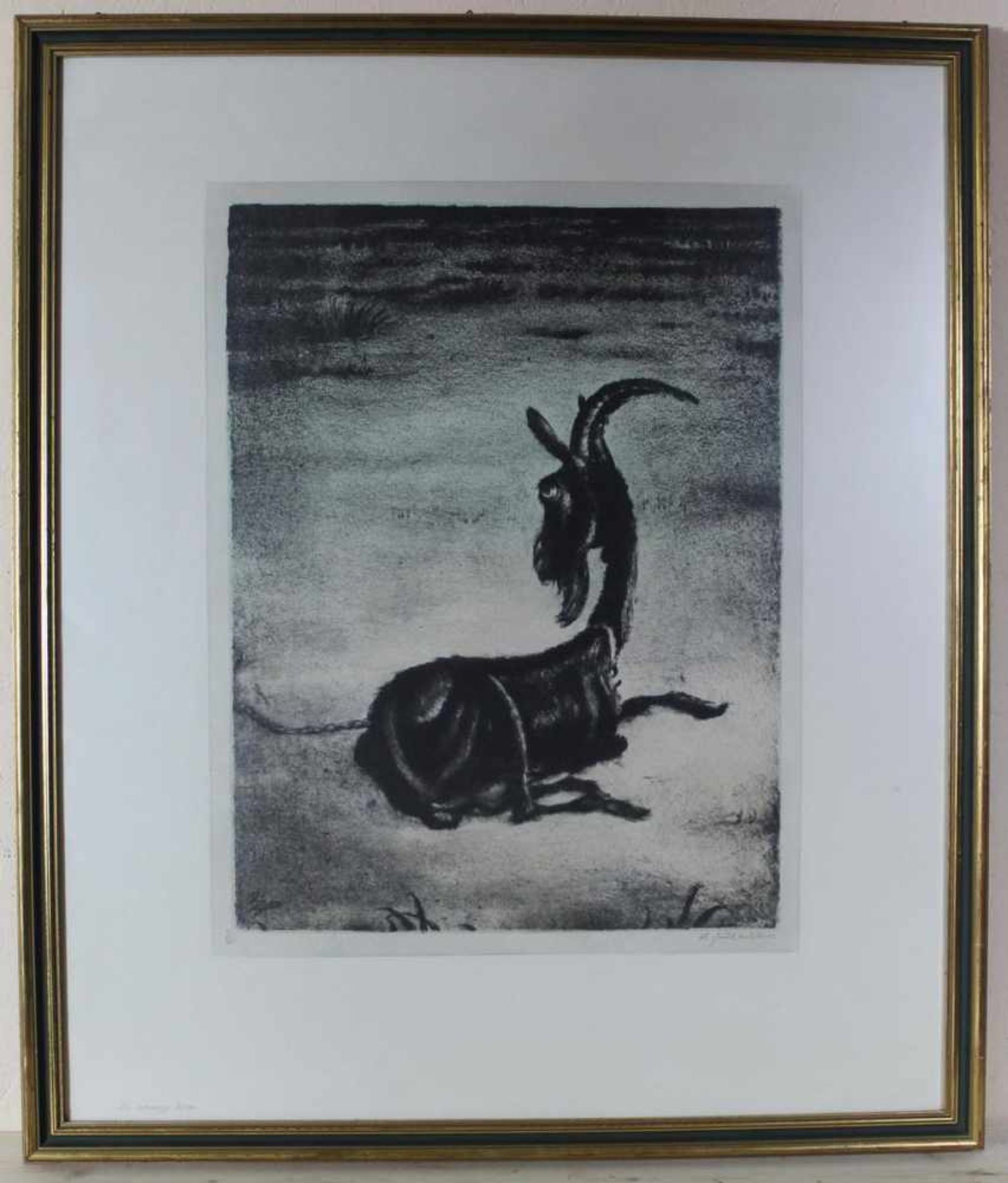 Andreas Paul Weber: Lithographie Die schwarze Ziege, u. Glas im Holzrahmen, ca. 51 x 40 cm, Gesamt