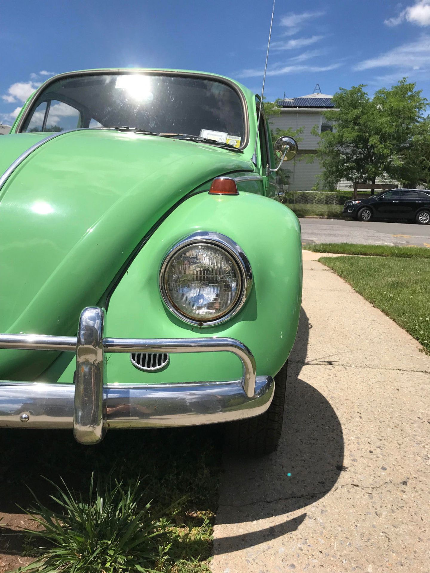1967 Volkswagen Beetle - Classic, BRAND NEW INTERIOR, VERY COLLECTIBLE, BEATLES GREEN, LOCATION NY - Image 4 of 10