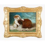 Artist around 1900, little cat with pot, oil on board, sigend bottom right, framed. 28 x 39 cm